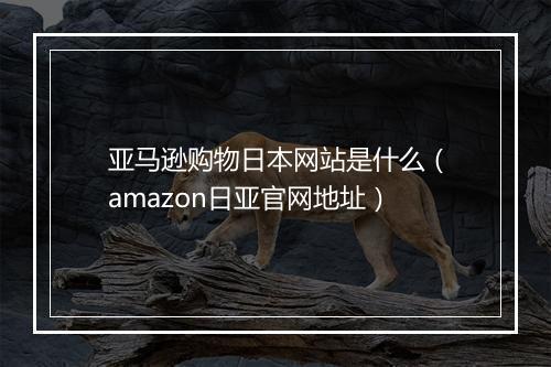 亚马逊购物日本网站是什么（amazon日亚官网地址）