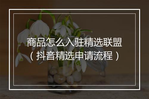 商品怎么入驻精选联盟（抖音精选申请流程）