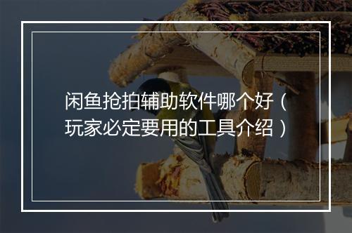 闲鱼抢拍辅助软件哪个好（玩家必定要用的工具介绍）