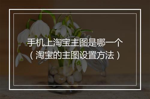 手机上淘宝主图是哪一个（淘宝的主图设置方法）