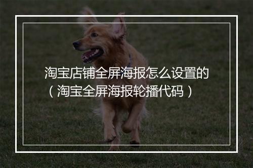 淘宝店铺全屏海报怎么设置的（淘宝全屏海报轮播代码）