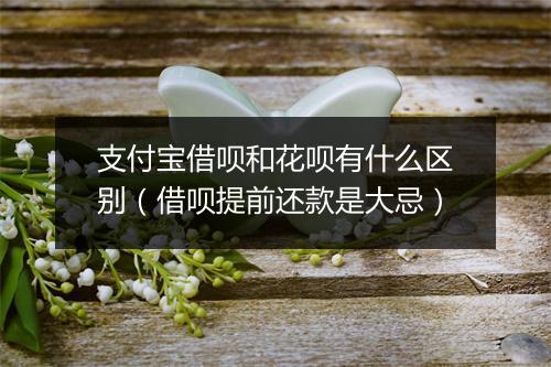 支付宝借呗和花呗有什么区别（借呗提前还款是大忌）
