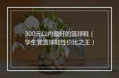 300元以内最好的篮球鞋（学生党篮球鞋性价比之王）