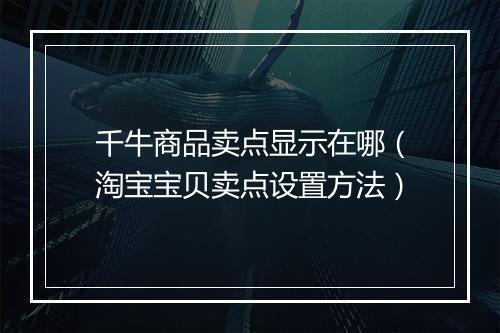 千牛商品卖点显示在哪（淘宝宝贝卖点设置方法）