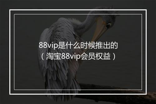 88vip是什么时候推出的（淘宝88vip会员权益）