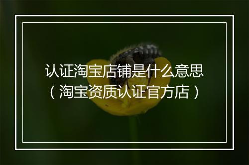 认证淘宝店铺是什么意思（淘宝资质认证官方店）