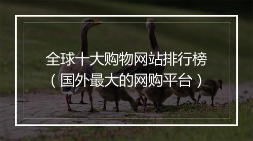 全球十大购物网站排行榜（国外最大的网购平台）