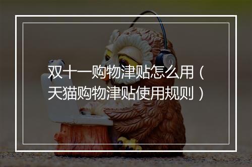 双十一购物津贴怎么用（天猫购物津贴使用规则）
