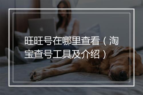旺旺号在哪里查看（淘宝查号工具及介绍）