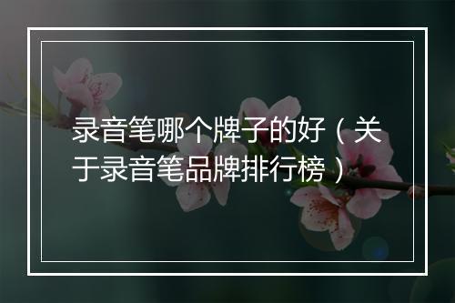 录音笔哪个牌子的好（关于录音笔品牌排行榜）