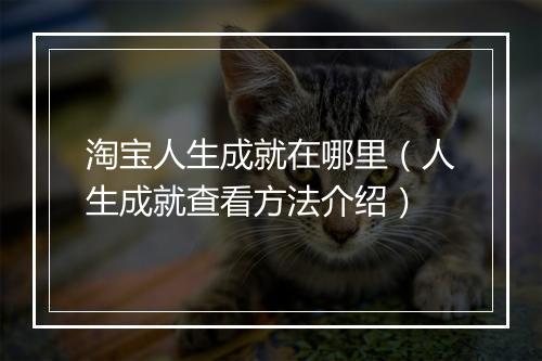 淘宝人生成就在哪里（人生成就查看方法介绍）