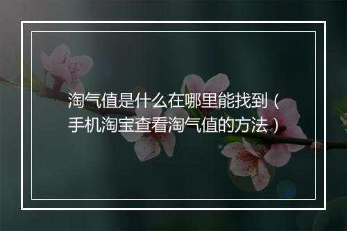 淘气值是什么在哪里能找到（手机淘宝查看淘气值的方法）