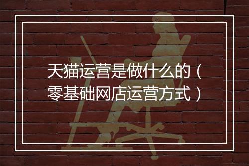 天猫运营是做什么的（零基础网店运营方式）