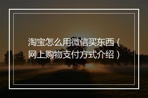 淘宝怎么用微信买东西（网上购物支付方式介绍）