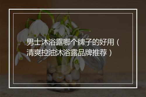 男士沐浴露哪个牌子的好用（清爽控油沐浴露品牌推荐）