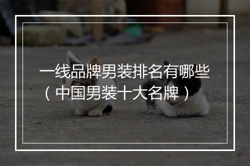 一线品牌男装排名有哪些（中国男装十大名牌）