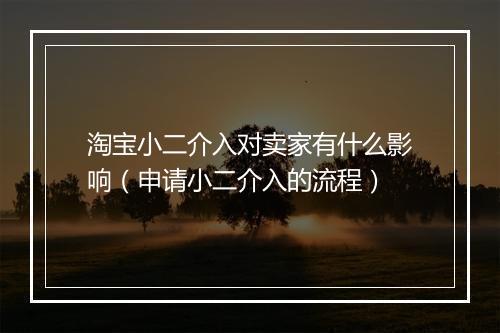 淘宝小二介入对卖家有什么影响（申请小二介入的流程）