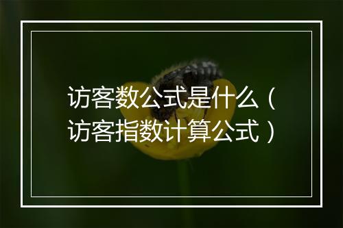 访客数公式是什么（访客指数计算公式）