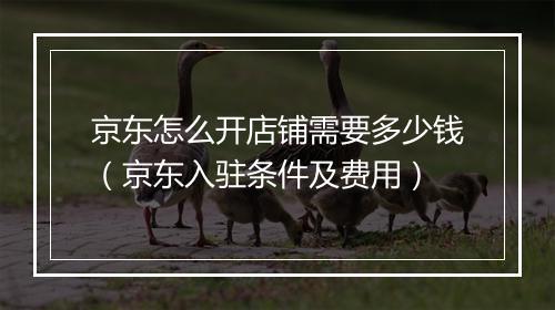 京东怎么开店铺需要多少钱（京东入驻条件及费用）