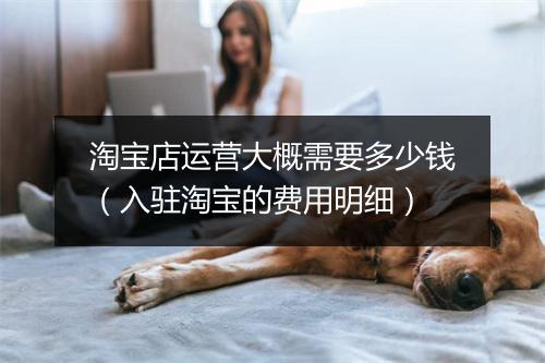 淘宝店运营大概需要多少钱（入驻淘宝的费用明细）