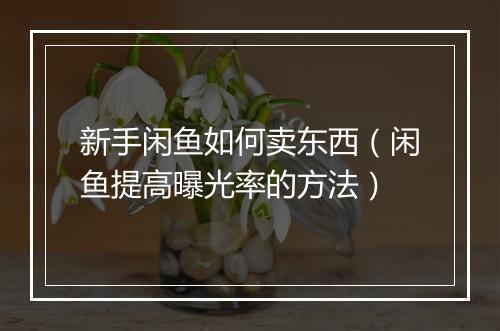 新手闲鱼如何卖东西（闲鱼提高曝光率的方法）