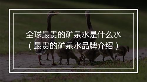 全球最贵的矿泉水是什么水（最贵的矿泉水品牌介绍）
