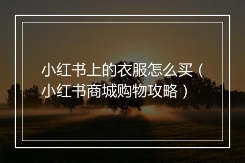 小红书上的衣服怎么买（小红书商城购物攻略）