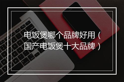 电饭煲哪个品牌好用（国产电饭煲十大品牌）