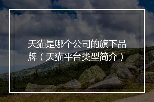 天猫是哪个公司的旗下品牌（天猫平台类型简介）