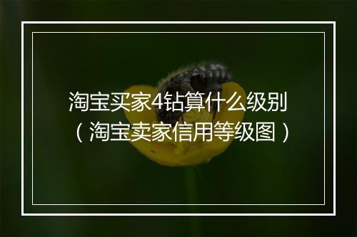 淘宝买家4钻算什么级别（淘宝卖家信用等级图）