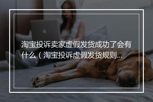 淘宝投诉卖家虚假发货成功了会有什么（淘宝投诉虚假发货规则）