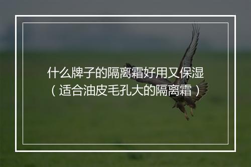 什么牌子的隔离霜好用又保湿（适合油皮毛孔大的隔离霜）