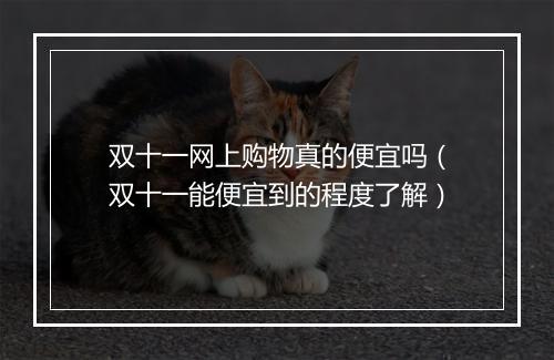 双十一网上购物真的便宜吗（双十一能便宜到的程度了解）