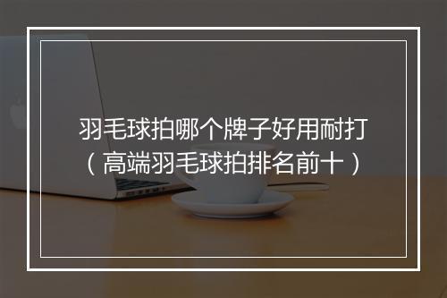 羽毛球拍哪个牌子好用耐打（高端羽毛球拍排名前十）