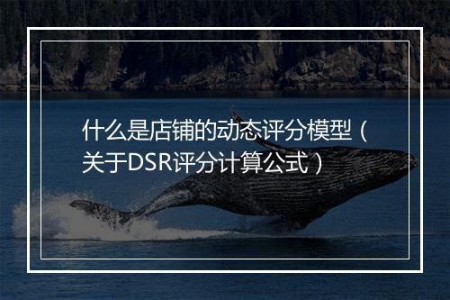 什么是店铺的动态评分模型（关于DSR评分计算公式）