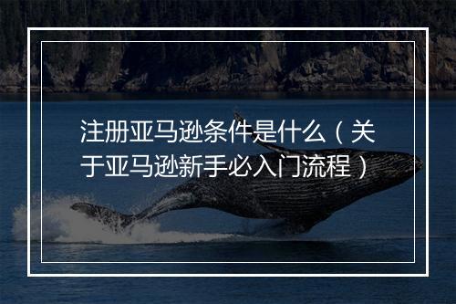 注册亚马逊条件是什么（关于亚马逊新手必入门流程）