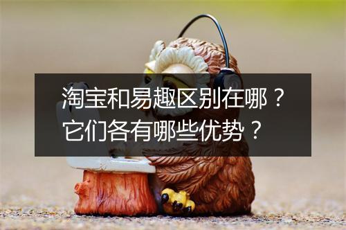 淘宝和易趣区别在哪？它们各有哪些优势？