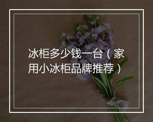冰柜多少钱一台（家用小冰柜品牌推荐）