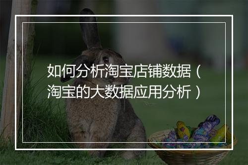 如何分析淘宝店铺数据（淘宝的大数据应用分析）