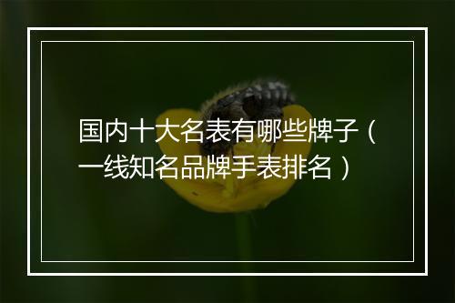 国内十大名表有哪些牌子（一线知名品牌手表排名）