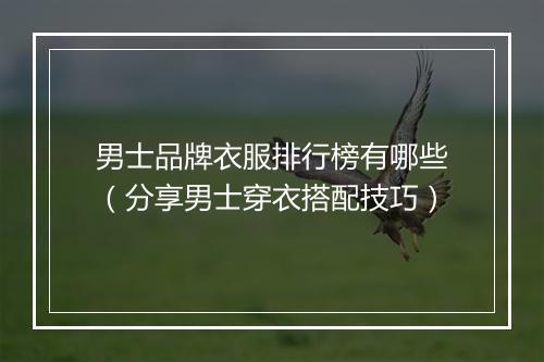 男士品牌衣服排行榜有哪些（分享男士穿衣搭配技巧）