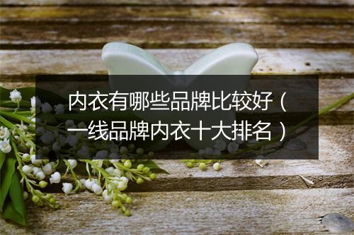 内衣有哪些品牌比较好（一线品牌内衣十大排名）