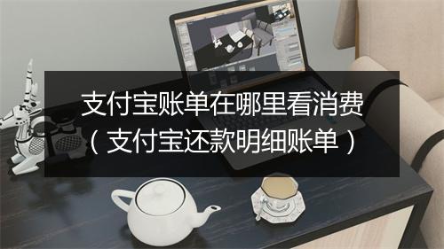 支付宝账单在哪里看消费（支付宝还款明细账单）