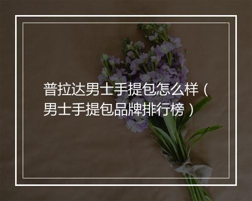 普拉达男士手提包怎么样（男士手提包品牌排行榜）