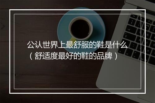 公认世界上最舒服的鞋是什么（舒适度最好的鞋的品牌）