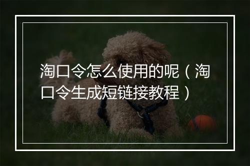 淘口令怎么使用的呢（淘口令生成短链接教程）