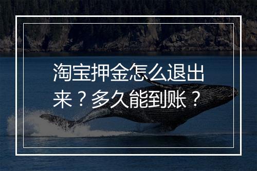 淘宝押金怎么退出来？多久能到账？