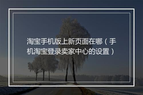 淘宝手机版上新页面在哪（手机淘宝登录卖家中心的设置）