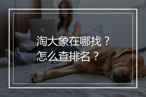 淘大象在哪找？怎么查排名？