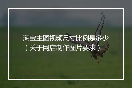 淘宝主图视频尺寸比例是多少（关于网店制作图片要求）